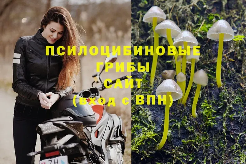 блэк спрут tor  где продают   Верхоянск  Галлюциногенные грибы Cubensis 